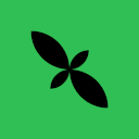 Mint logo